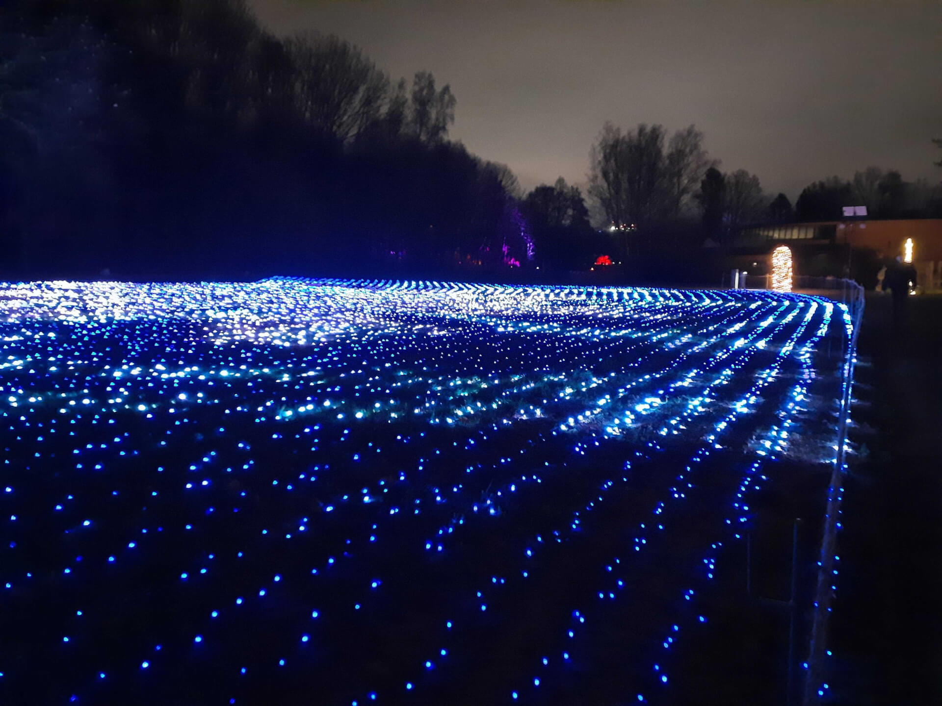 Christmas Garden zoo Chorzów 3