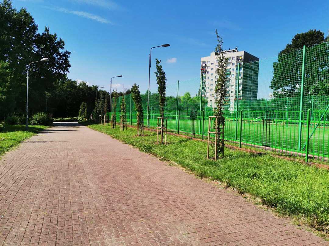 Katowice w czołówce rankingu najbardziej zielonych miast w Polsce