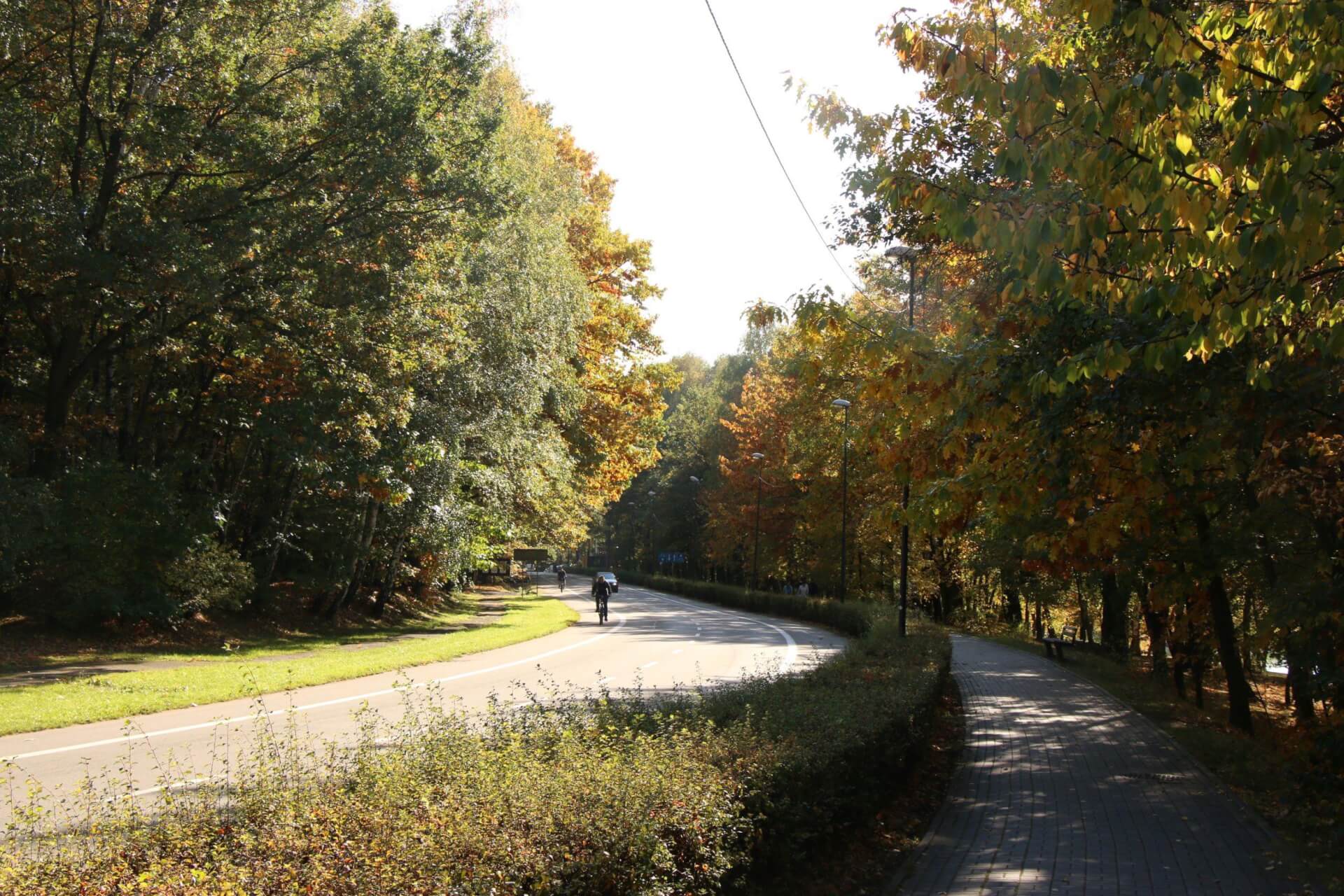 Dolina Trzech Stawów, Muchowiec