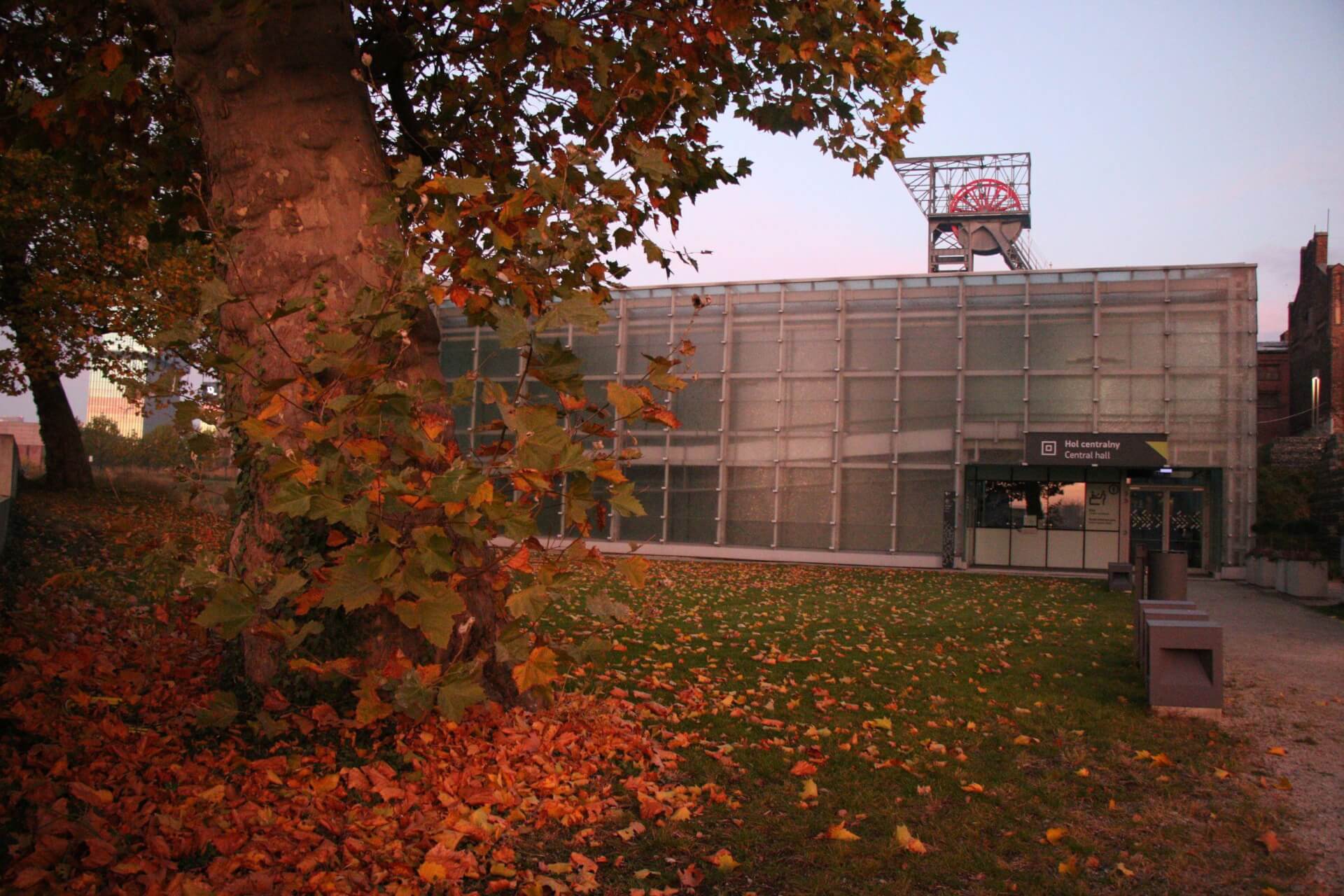Muzeum Śląskie, Katowice
