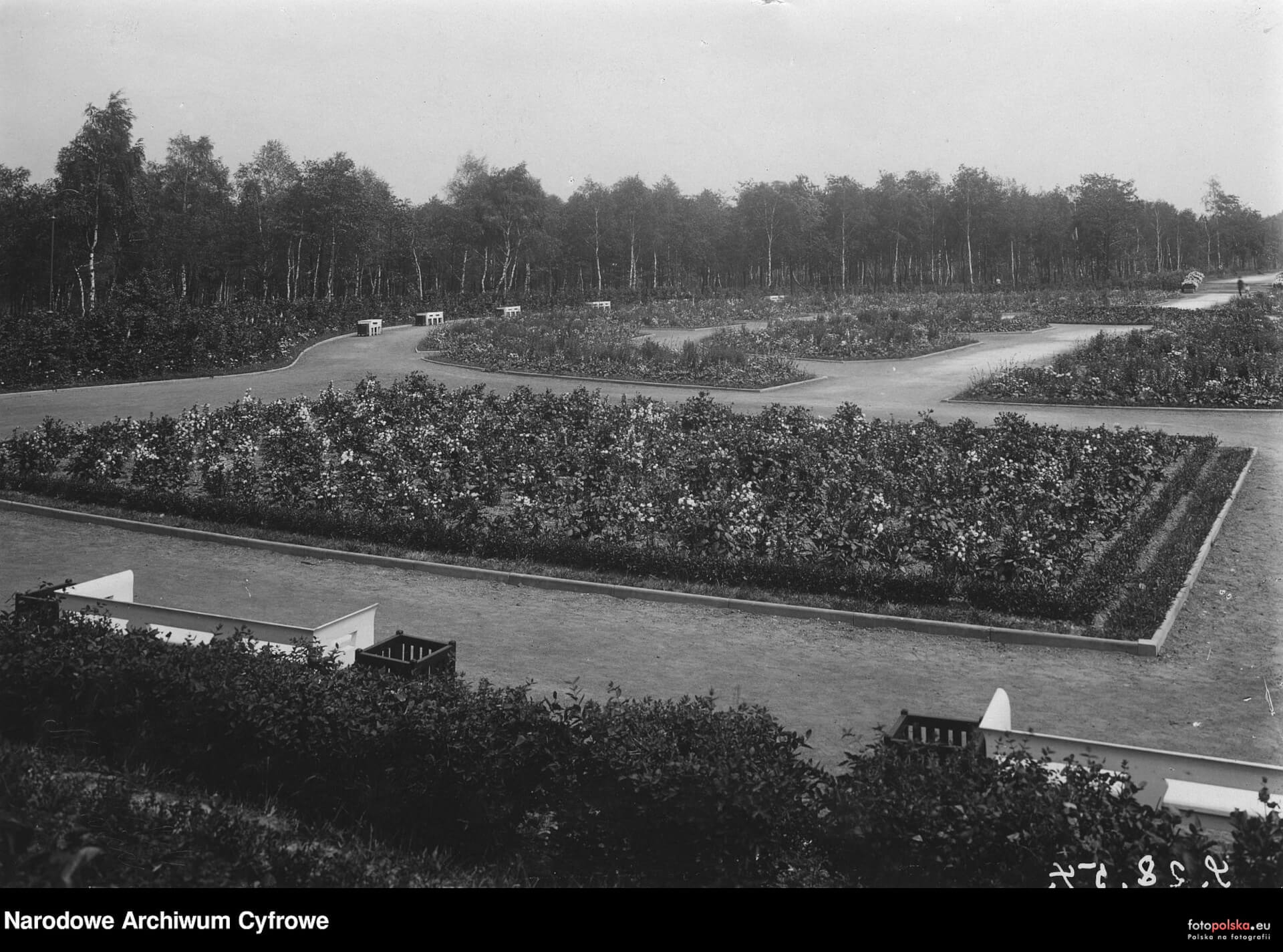 Park Kościuszki - Katowice