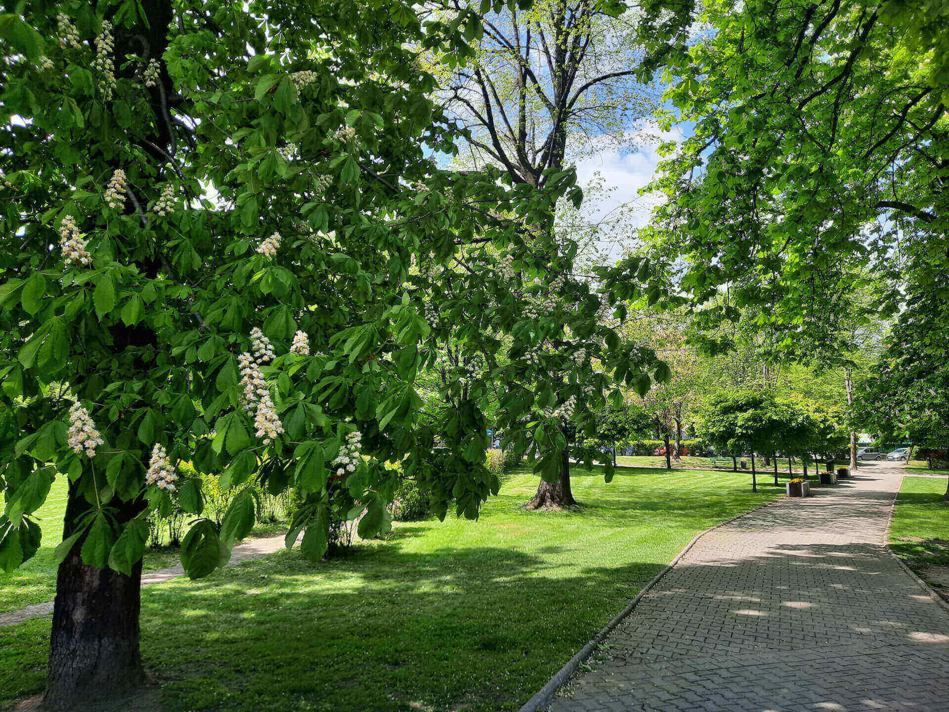 Skwer przy Bibliotece Śląskiej