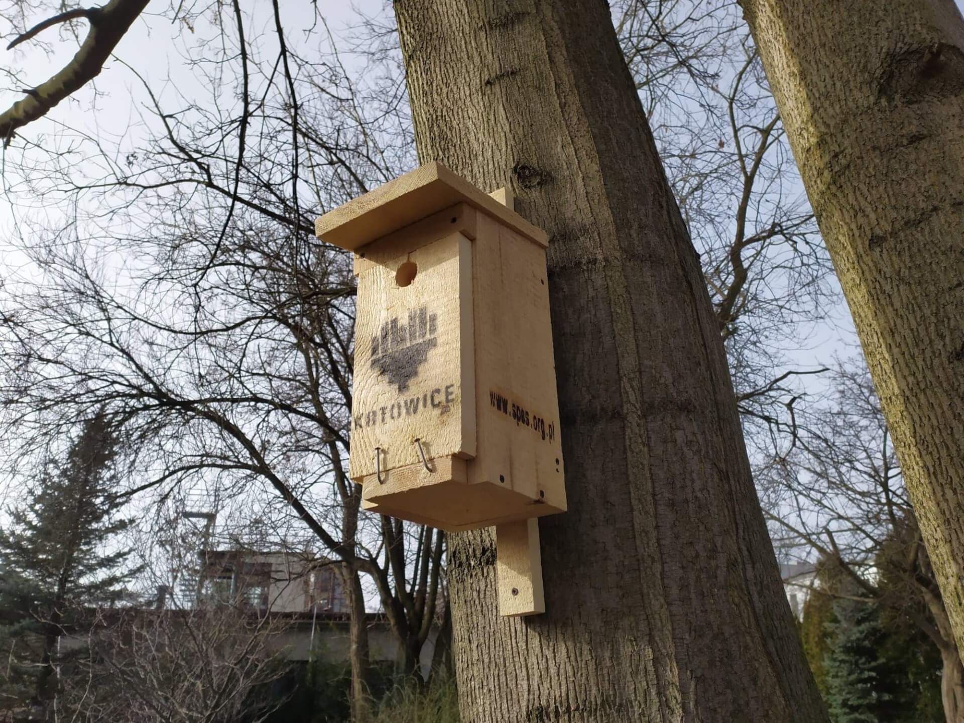 Rozdawane budki to budki lęgowe typu A