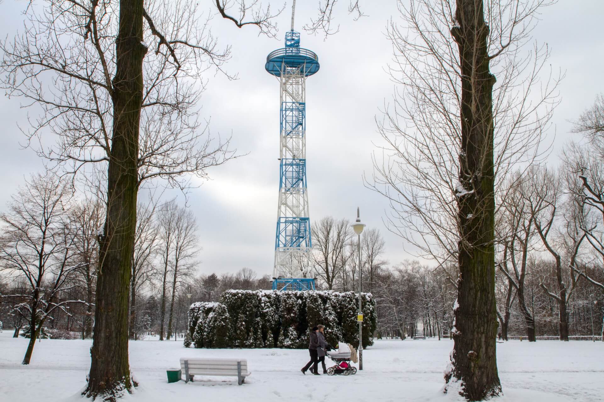 Spacer po parku Kościuszki zimą