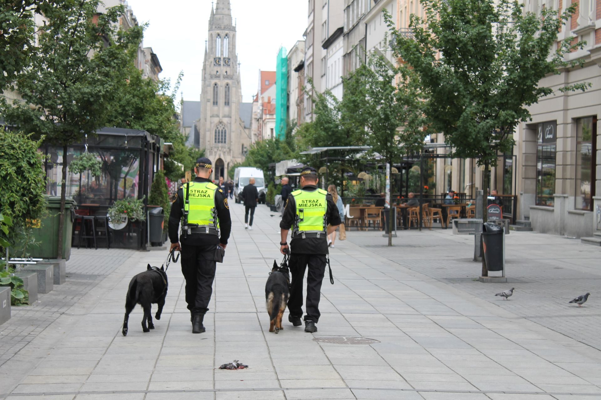 Patrol straży miejskiej z psami w Katowicach