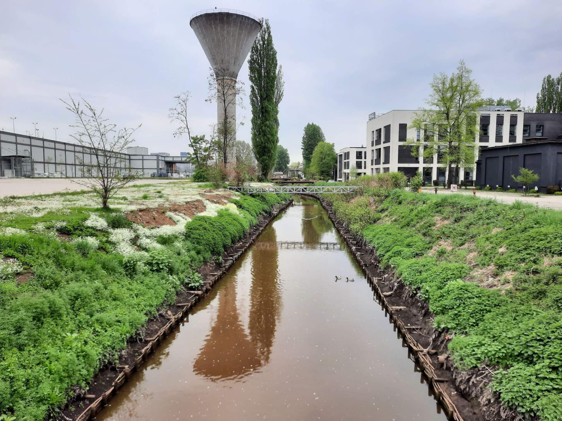 Teren byłej Huty Baildon, Katowice