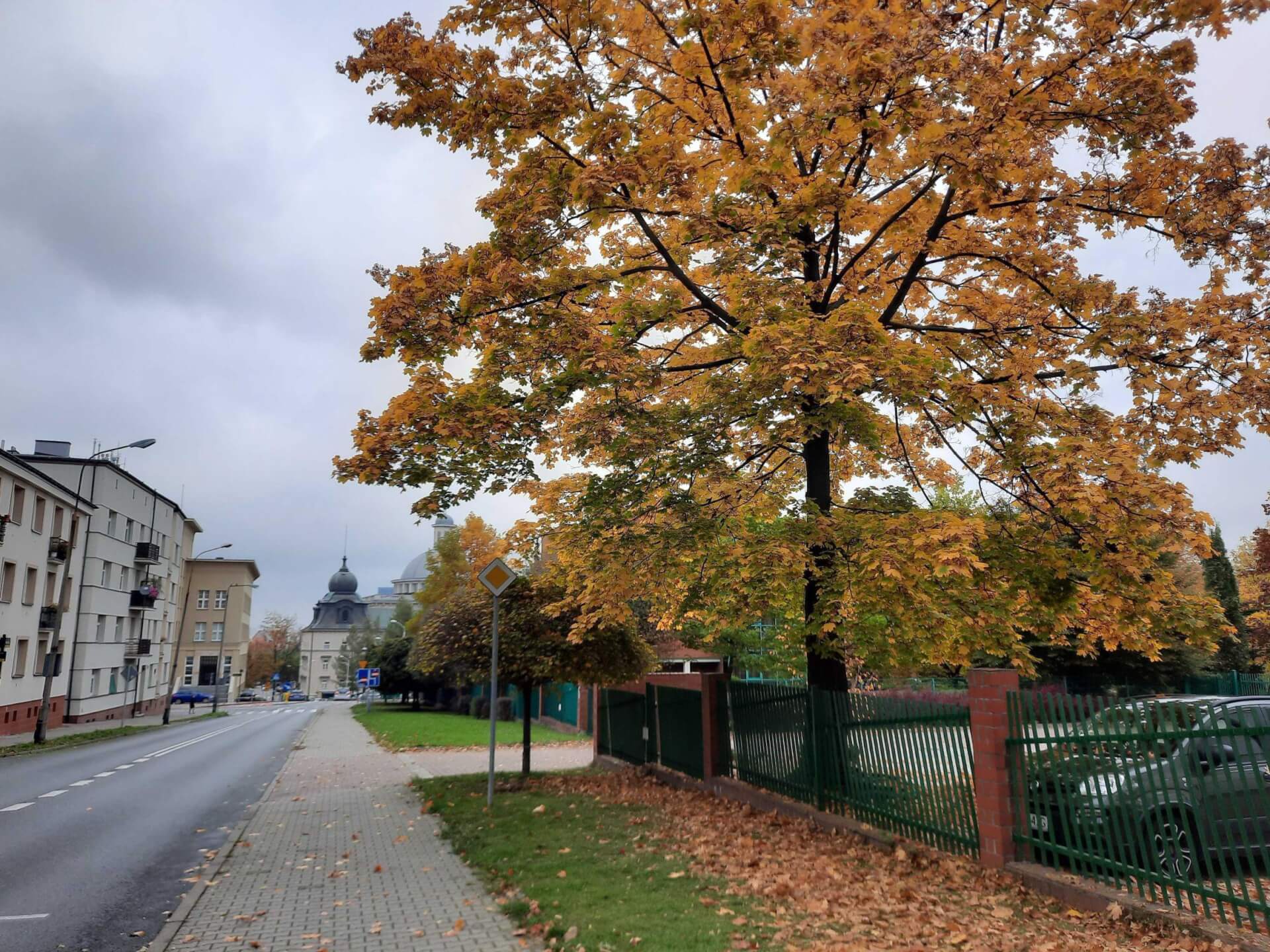 Ul. Wita Stwosza, Katowice