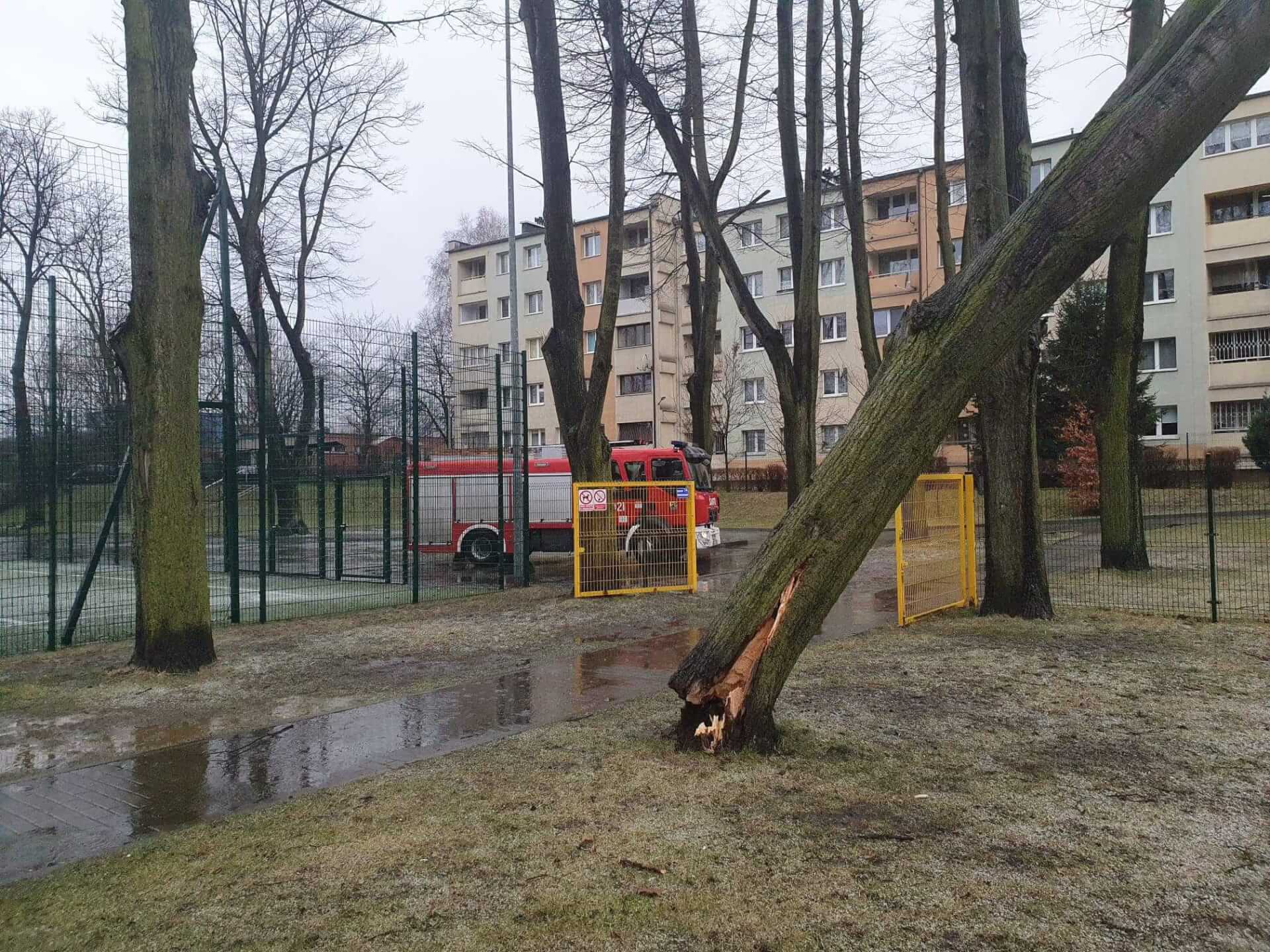 Wichura w Katowicach
