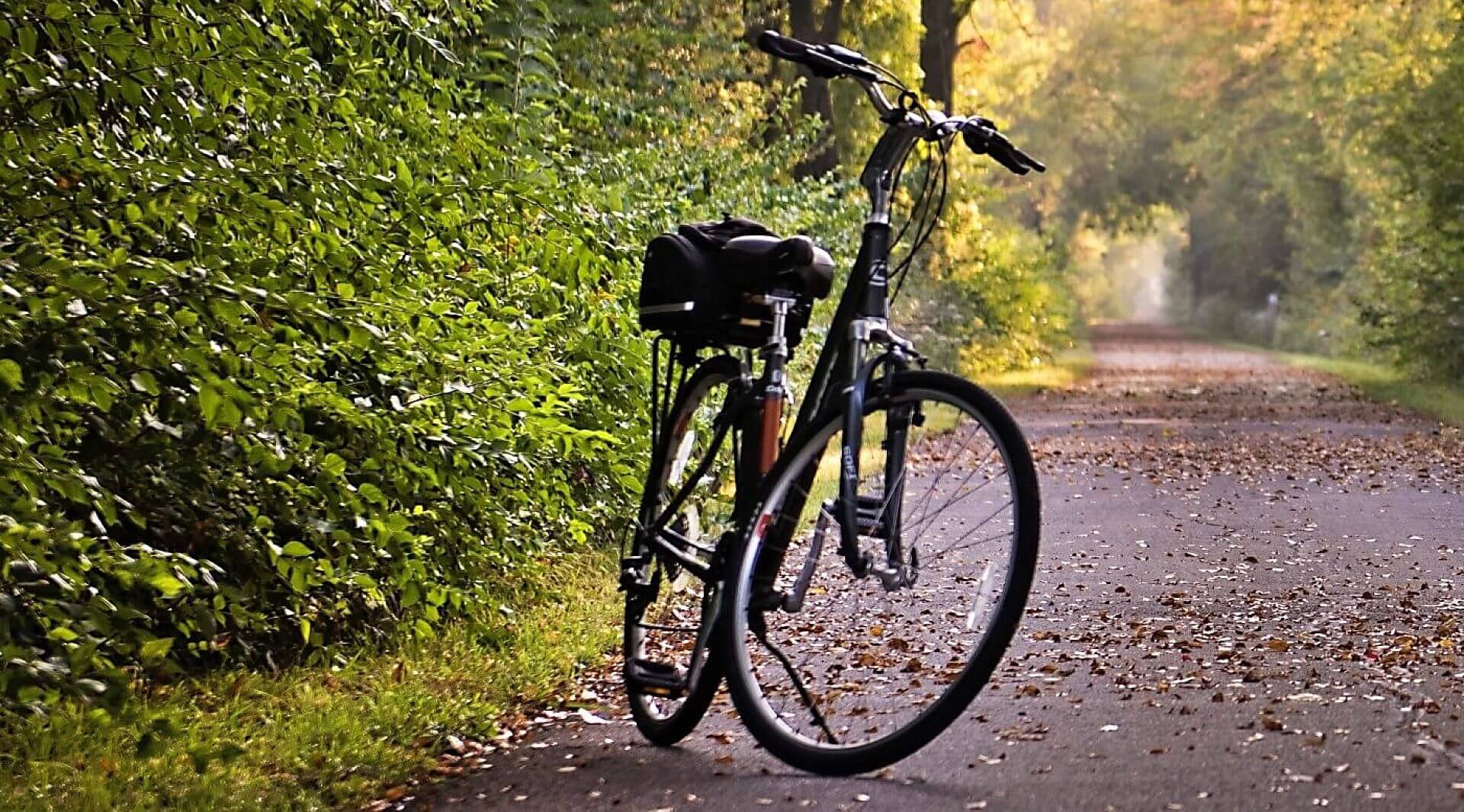 Policjant z Katowic odzyskał rower skradziony siedem lat temu Policjant z Katowic odzyskał rower skradziony siedem lat temu