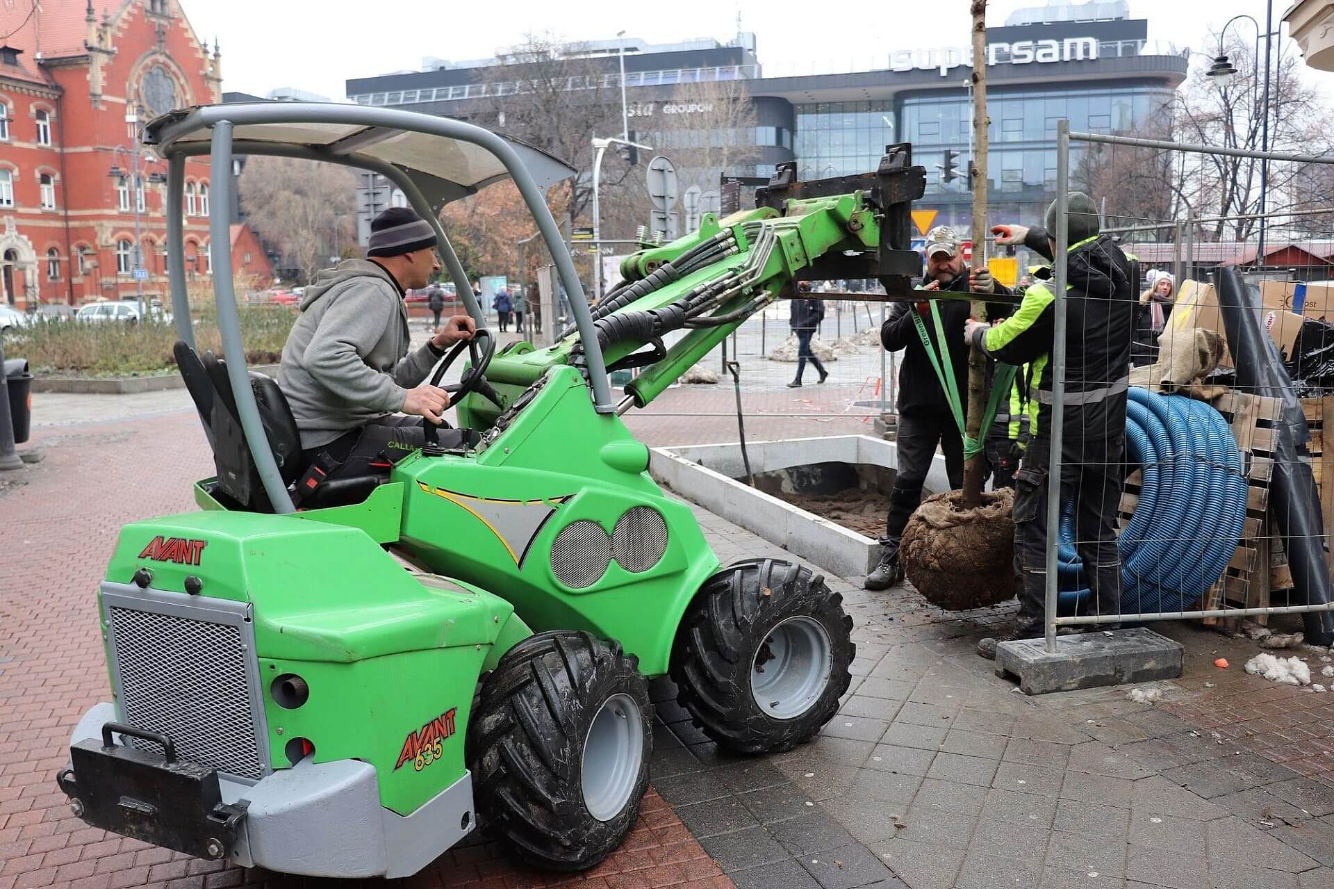 Sadzenie drzew stawowa katowice Sadzenie drzew stawowa katowice