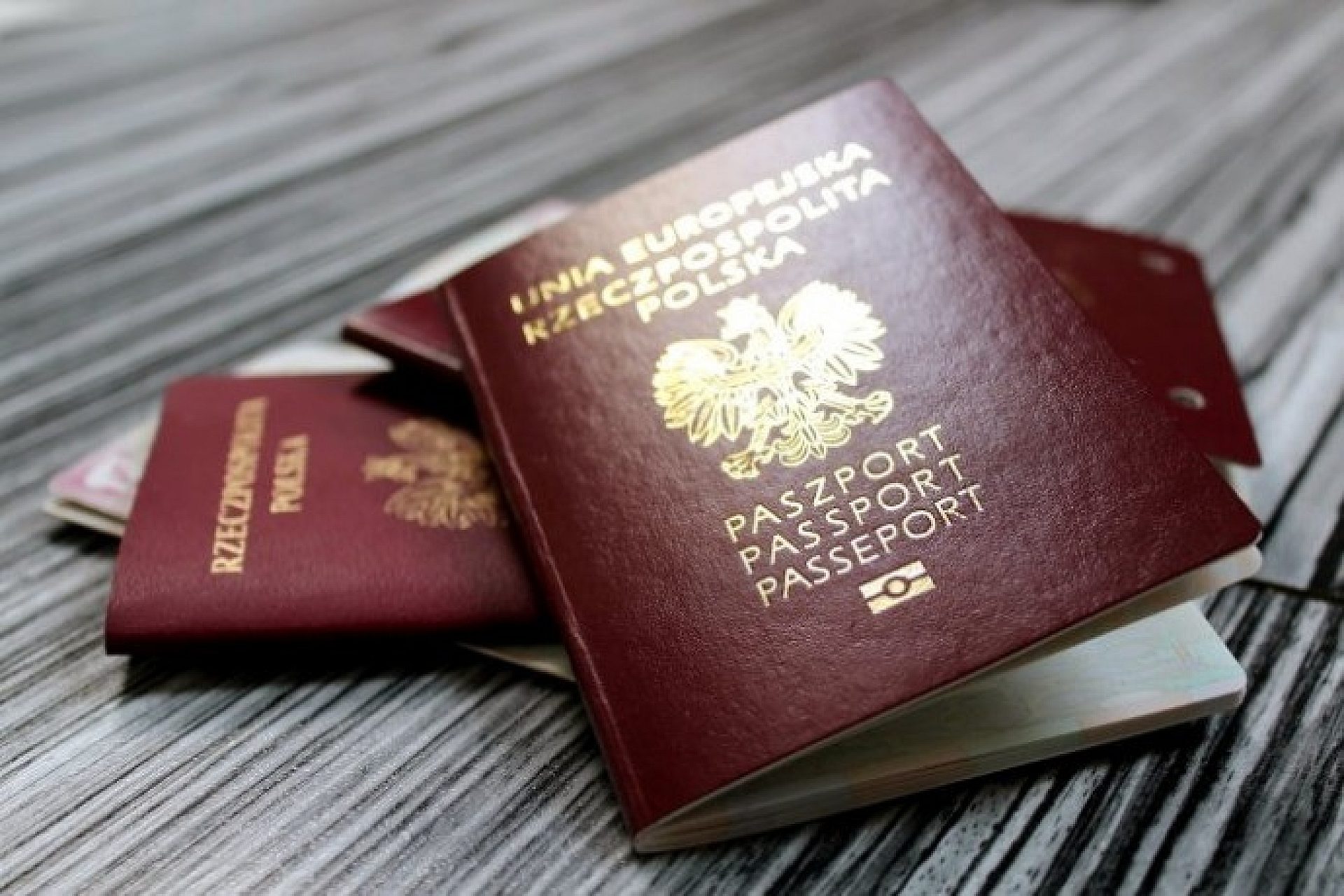 Paszport Paszport