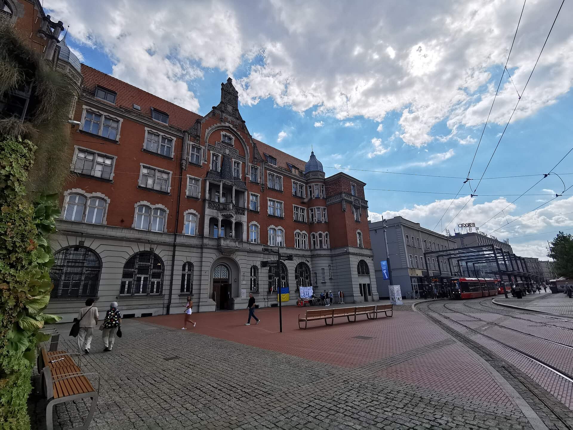 Naprzeciwko wejścia do dawnego Muzeum Śląskiego ma zostać zainstalowana ławka z pnączami Naprzeciwko wejścia do dawnego Muzeum Śląskiego ma zostać zainstalowana ławka z pnączami