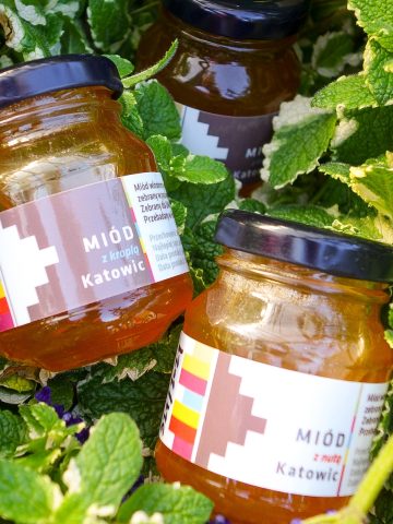 Miód z nutą i kroplą Katowic Miód z nutą i kroplą Katowic