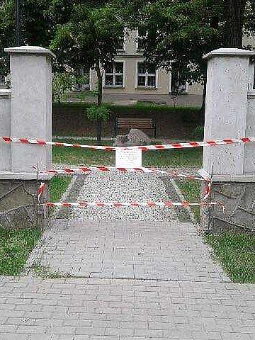 Nie lekceważ zakazu! Lawy biedronki azjatyckiej są groźne Nie lekceważ zakazu! Lawy biedronki azjatyckiej są groźne