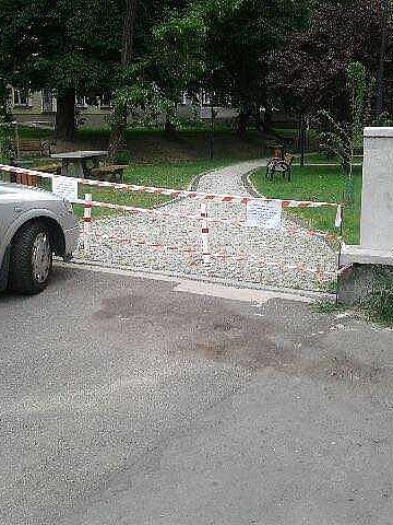 Nie lekceważ zakazu! Lawy biedronki azjatyckiej są groźne Nie lekceważ zakazu! Lawy biedronki azjatyckiej są groźne