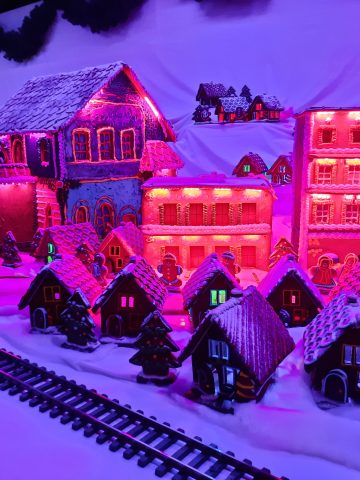 20211219 120828 20211219 120828