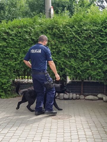 Dochodzenie w sprawie skradzionych rzeźb Dochodzenie w sprawie skradzionych rzeźb