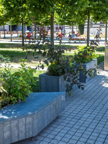 Park kieszonkowy na placu koło Rawy Park kieszonkowy na placu koło Rawy