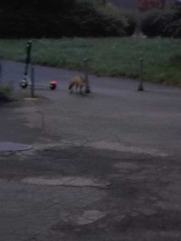 241176629 1208155369699748 8153097306564828522 n 241176629 1208155369699748 8153097306564828522 n