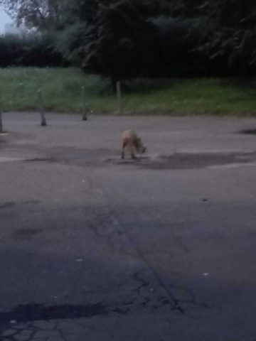 241177653 1208155339699751 6200858351954231520 n 241177653 1208155339699751 6200858351954231520 n