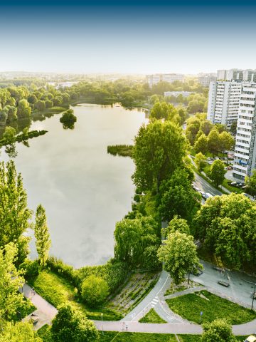 Staw Marok Staw Marok