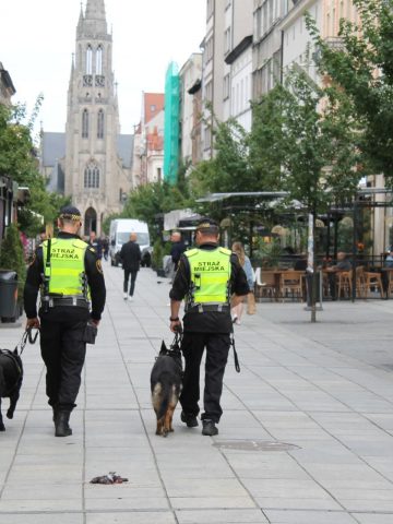Patrol straży miejskiej z psami w Katowicach Patrol straży miejskiej z psami w Katowicach