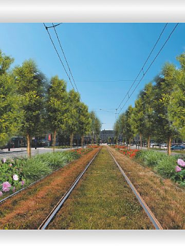 Korfantego koncepcja - tak będzie Korfantego koncepcja - tak będzie