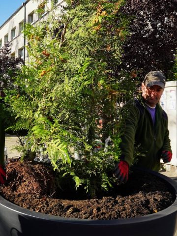 Donice pod WUG Donice pod WUG