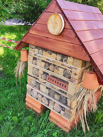 Zielony Budżet w Katowicach Zielony Budżet w Katowicach