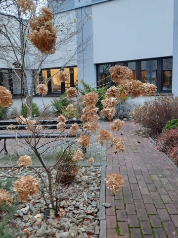 Filia nr 14 Miejskiej Biblioteki Publicznej w Katowicach Filia nr 14 Miejskiej Biblioteki Publicznej w Katowicach