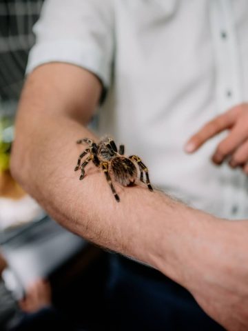 Przyroda na wyciągnięci ręki Przyroda na wyciągnięci ręki