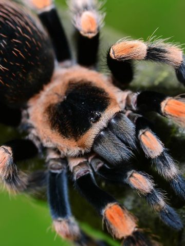 Przyroda na wyciągnięci ręki Przyroda na wyciągnięci ręki