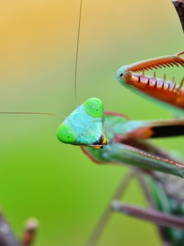 Przyroda na wyciągnięci ręki Przyroda na wyciągnięci ręki