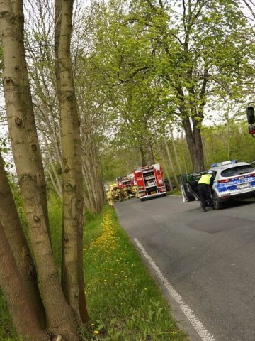 Samochód uderzył w drzewo. Kierowca BMW nie przeżył. Samochód uderzył w drzewo. Kierowca BMW nie przeżył.