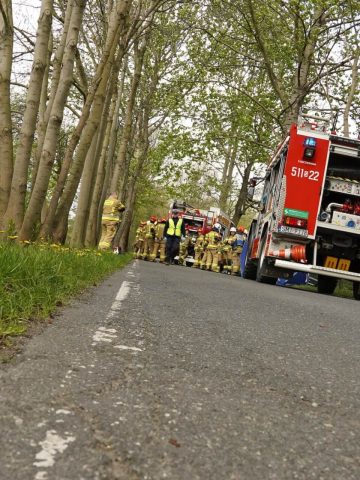 Samochód uderzył w drzewo. Kierowca BMW nie przeżył. Samochód uderzył w drzewo. Kierowca BMW nie przeżył.