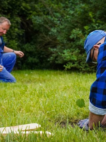 W Katowicach sadzą drzewa tlenowe 01 W Katowicach sadzą drzewa tlenowe 01
