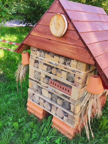 Zielony Budżet 1 fot Michał Szafraniec Zielony Budżet 1 fot Michał Szafraniec