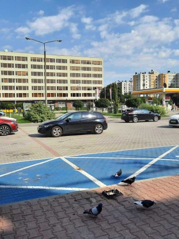 Centrum handlowe belg katowice 05 Centrum handlowe belg katowice 05