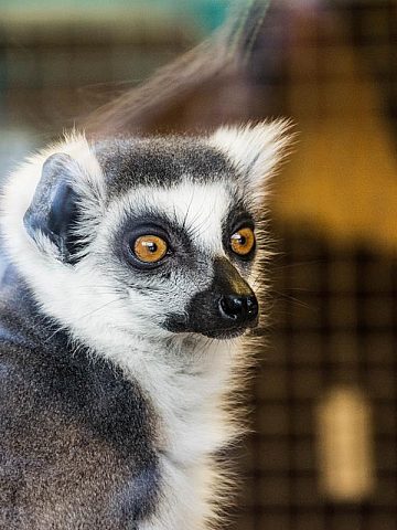 Katowice zoo a1 Katowice zoo a1