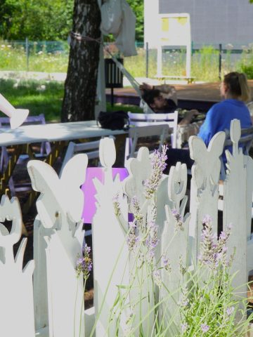 Ogrod lawendowy katowice Ogrod lawendowy katowice