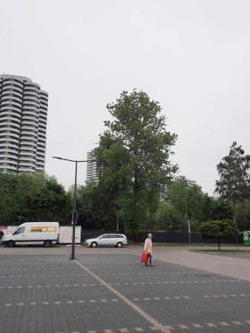 Plac budowy wiezowce tysiaclecie katowice 03 Plac budowy wiezowce tysiaclecie katowice 03