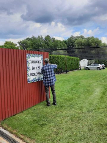 Plantacja borowki katowice 2023 11 Plantacja borowki katowice 2023 11