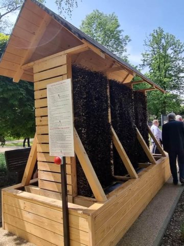 Teznia katowice welnowiec 01 Teznia katowice welnowiec 01