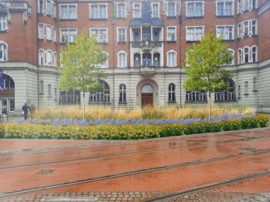 Zielona oaza rynek muzeum slaskie katowice Zielona oaza rynek muzeum slaskie katowice