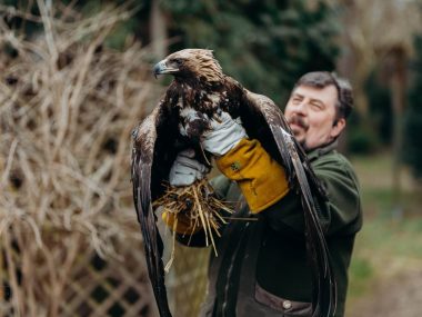 Zwierzęcy „szpital na peryferiach” kontra kolej do CPK Leśne Pogotowie Mikołów