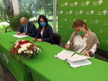Park Śląski czeka rewolucja. Modernizację przejdzie Ogród Japoński i świątynia Petrycha Park1a