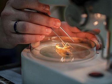Xiii noc biologow us katowice 2024 2 Xiii noc biologow us katowice 2024 2