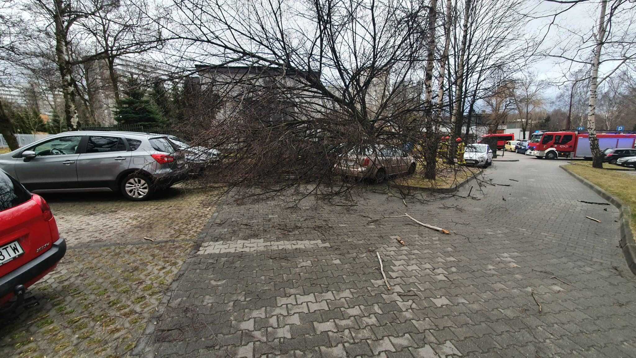 Interwencja straży na Tysiącleciu