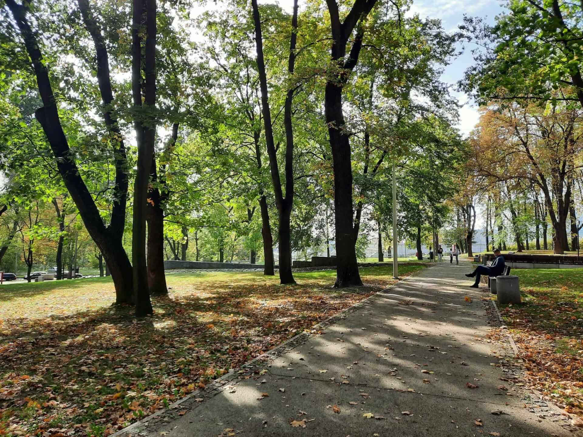 Park bogucice katowice