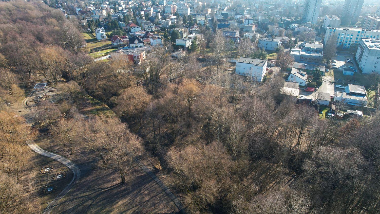 Park dolina slepiotka katowice 01